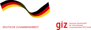 GIZ Logo